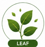 Vegetative Growth Stage - LEAF
