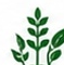 Crops Icon