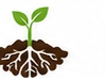 Soil