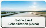 Saline Land Rehabilitation (China)